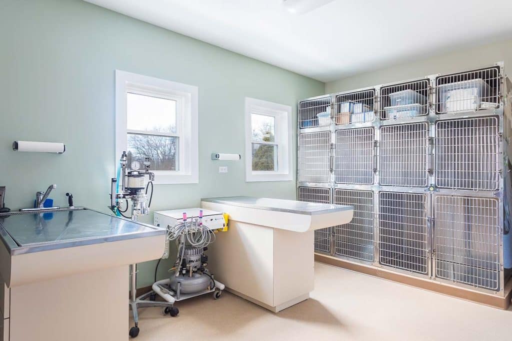 Photograph of a veterinary hospital created by converting a duplex home, including a custom X-ray room, completed by Integrity Development & Construction in Turners Falls, MA.